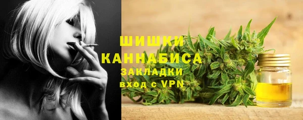 гидра Верхний Тагил