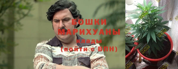скорость Щигры