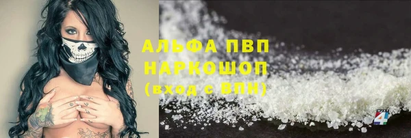 скорость Щигры