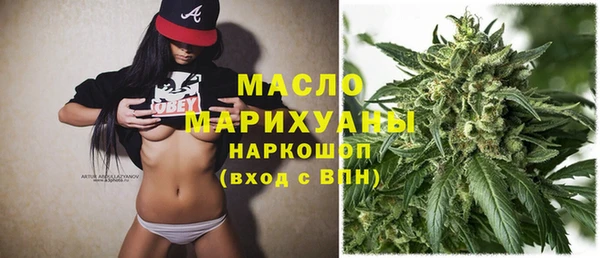 гидра Верхний Тагил
