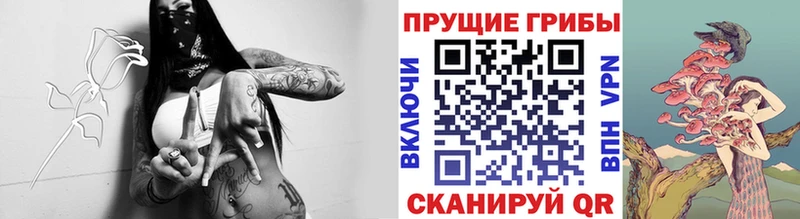 Псилоцибиновые грибы Psilocybe  Вышний Волочёк 
